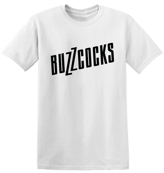 Buzzcocks- retro punk rock