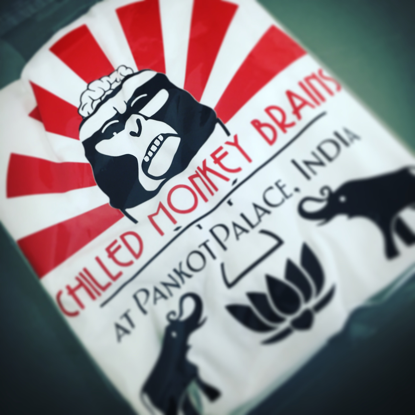 Product packaging with a logo of a monkey and text 'Chilled Monkey Brains' on a red and white background.